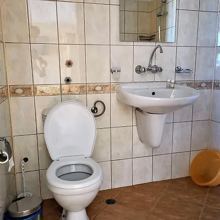 Guest house Elena 3*